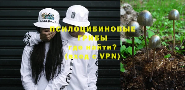 spice Киренск