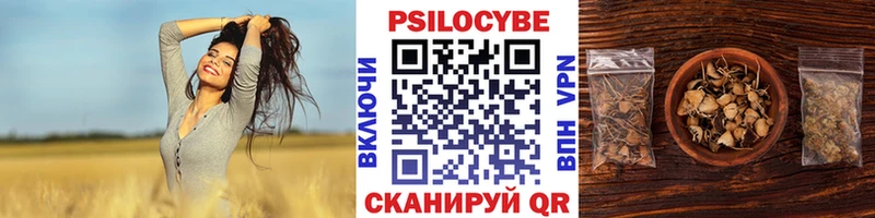цены   Юрюзань  Псилоцибиновые грибы мухоморы 